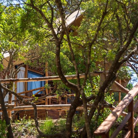קאפוליברי Camping Lacona Pineta מראה חיצוני תמונה