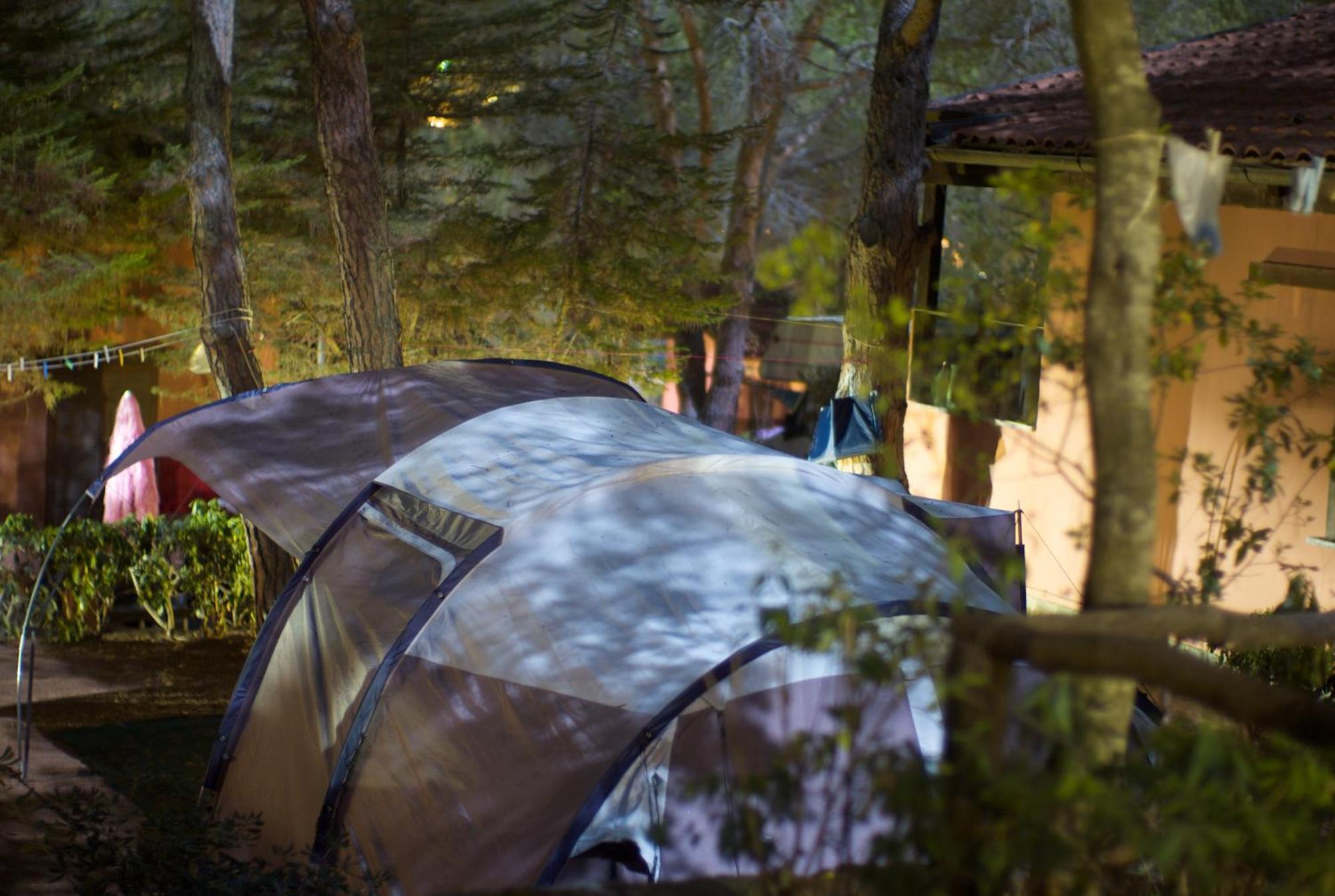 קאפוליברי Camping Lacona Pineta מראה חיצוני תמונה
